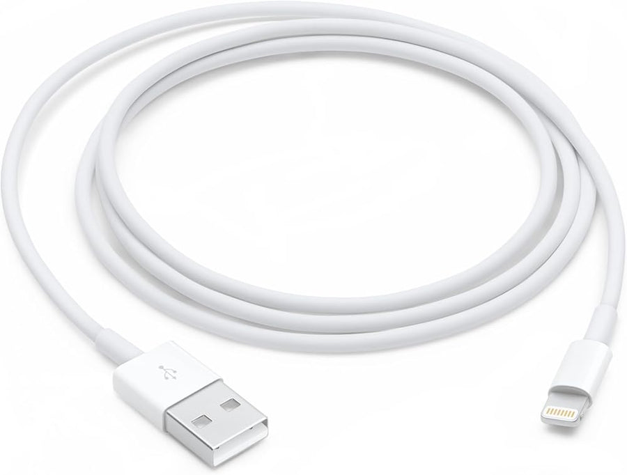 Apple Lightning to USB Cable (1 m)
